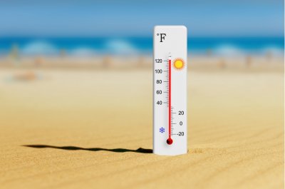 夏季太熱，不如把森林搬回家！